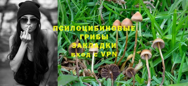 прущие крисы Алзамай