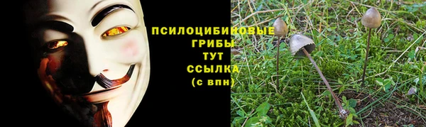 спиды Алексеевка
