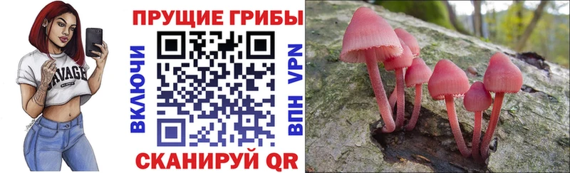 мега ссылка Нижний Тагил Галлюциногенные грибы MAGIC MUSHROOMS